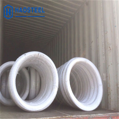 Fil d'acier inoxydable 304 316L 410 0,07 mm 0,13 mm 1 mm 2 mm souple EN/AISI