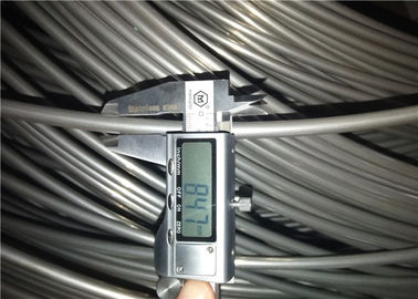 Le tuyau sans couture de bobine d'acier inoxydable de SUS304 304L 316L a lové le tube d'échangeur de chaleur